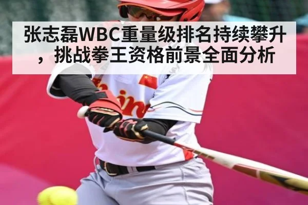 张志磊WBC重量级排名持续攀升,挑战拳王资格前景全面分析